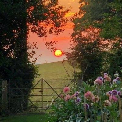 火狐官网手机app下载截图